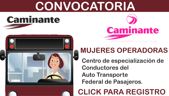 Caminante Seguridad Al Viajar